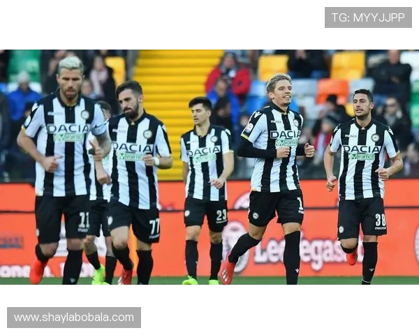 乌迪内斯俱乐部：意甲中坚力量的崛起与未来发展潜力