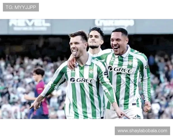 多特蒙德宣布签约新援 强化球队阵容迎接新赛季挑战