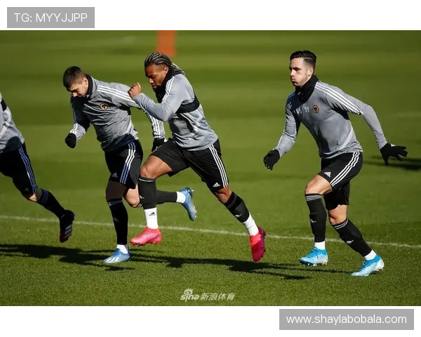 狼队新赛季备战调整深度分析 恢复主力阵容力争重返季后赛