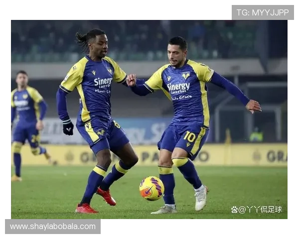 维罗纳俱乐部最新动态：主教练调整阵容备战新赛季，球员转会引关注