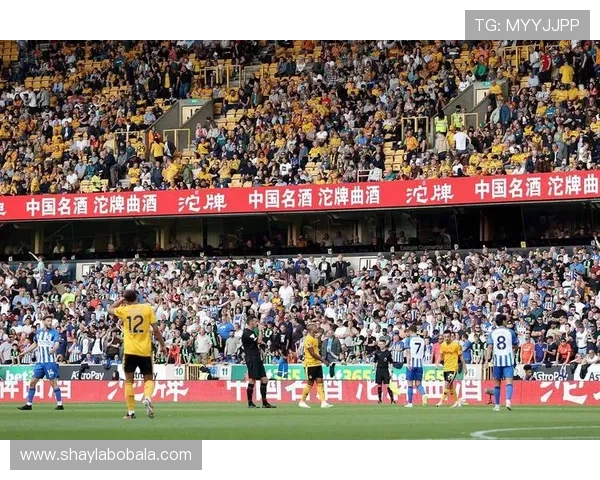 伯恩茅斯足球俱乐部的崛起与挑战：从英超新星到全球舞台的奋斗之路