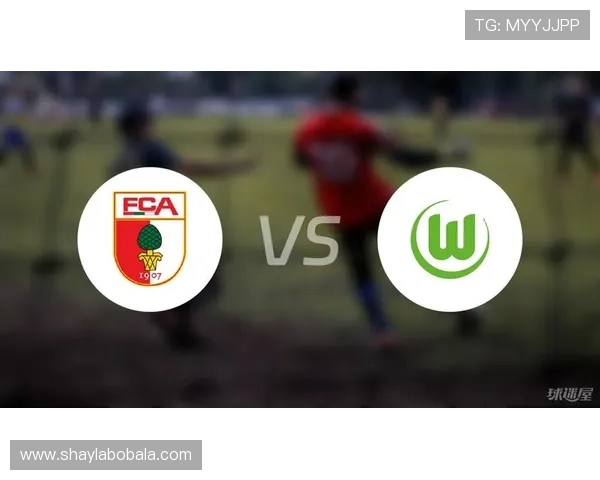 奥格斯堡俱乐部宣布新赛季目标 强化球队阵容力争欧战资格