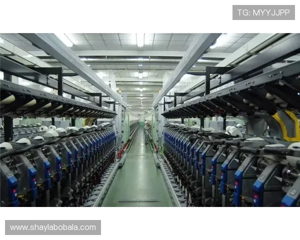 罗马俱乐部发布最新报告聚焦全球治理与可持续未来路径发展转型挑战